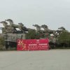杨的头像