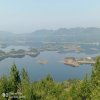 那个黄昏的早晨的头像