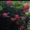 冷暖自知（上班，没空玩）的头像