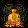 王先生的头像