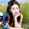 忙暂停互动的头像