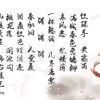 棉花糖的头像
