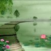 ꧁夏日荷花 ꧂的头像