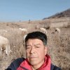 牧羊人的头像