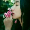 我的梦的头像