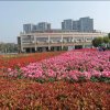 岁月的头像