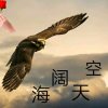 海阔天空(暂退)的头像
