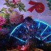 开心快乐每一天的头像