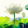 笑对人生『梁姐』的头像
