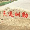 缘来是你（暂退）的头像