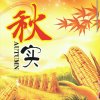 秋实的头像