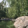 幸福哥的头像
