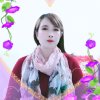 梅孑的头像