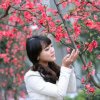 春暖花开的头像