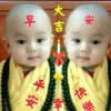 快乐千里马的头像