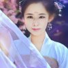 杨海燕的头像