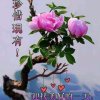 卿的头像