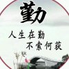 梦友的头像