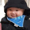 飘逸的头像
