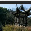 琴弦的头像