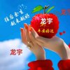 龙宇的头像