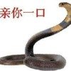 风情万种的头像