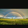 雨后彩虹的头像
