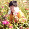 二月桃花(小花回访)的头像