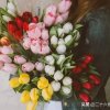 殇雪《以歌会友，拒绝私信》的头像