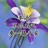 北方水城老板娘的头像