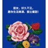 歌声与微笑的头像