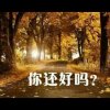微笑着转身的头像
