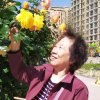 黎明的头像