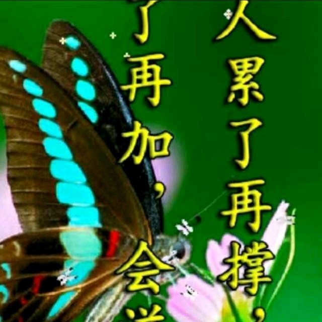 军中绿花由冷漠演唱(原唱:小曾)