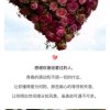 勇敢的心的头像