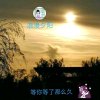 漫步在夕阳的头像