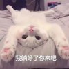 曦儿『ACG』的头像