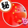 Star°时光的头像