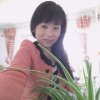 蝶恋花的头像