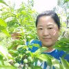吉祥如意 李波的头像