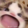 蓝天白云的头像