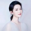 杨柳的头像