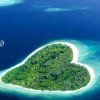 沧海一声笑的头像
