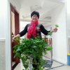 善良李的头像