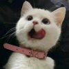 小八姐姐的头像