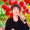 满山红的头像