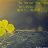 雨过天晴的头像
