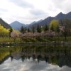寂静山林的头像