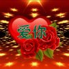 啊表哥的头像