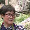 人淡如菊的头像